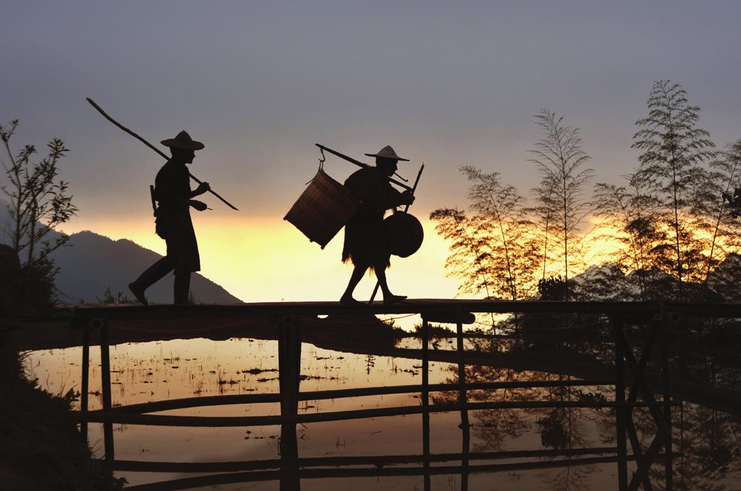 ��ѧ�о� | ���õѣ��������ۡ�����������������ѧ�������ۡ�����ҡ������۷���