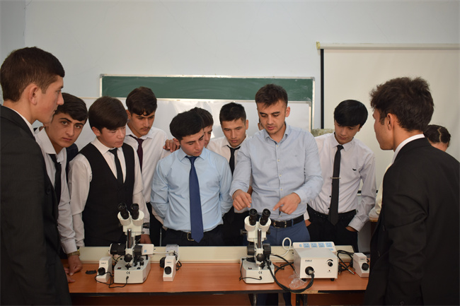 ������+ְҵ���������������������ͱ����˲�