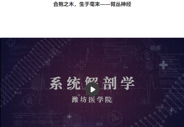 �ϱ�֮ľ�����ں�ĩ�����۴���