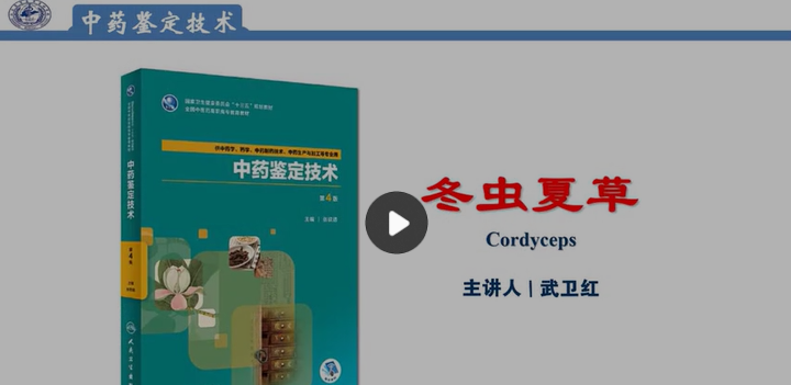 ˼��Ʈ��������֮�����Ĳݵļ���