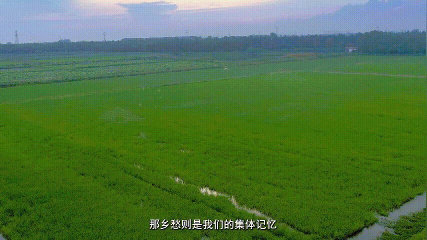 �人��ѧ|����ɽ����ˮ����ζ�����ˡ�����