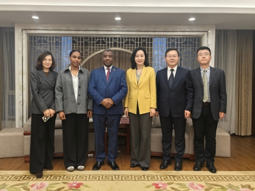 陈白薇会见非洲联盟驻华代表一行