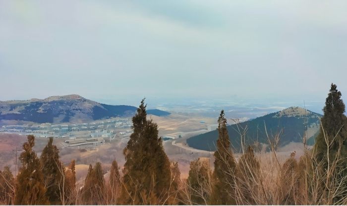 �Ҹ���У��������ڵ���������