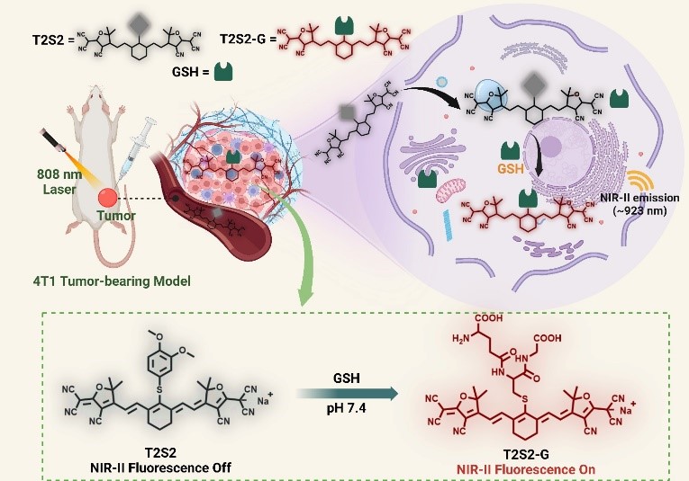 1741678208538644.jpg 图片2.jpg