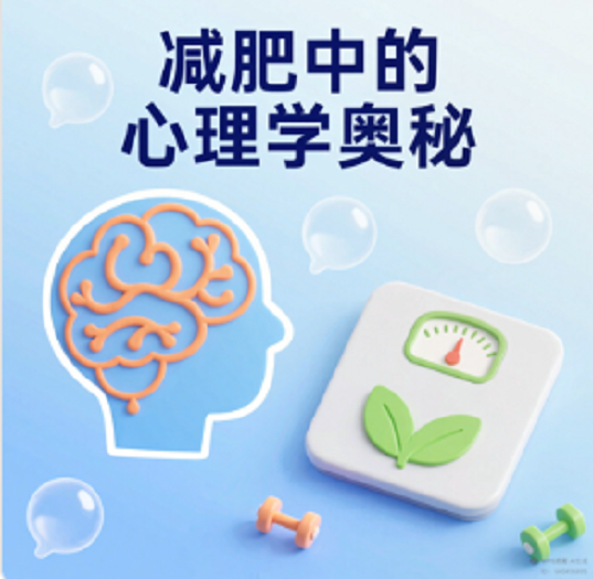 �����е�����ѧ����