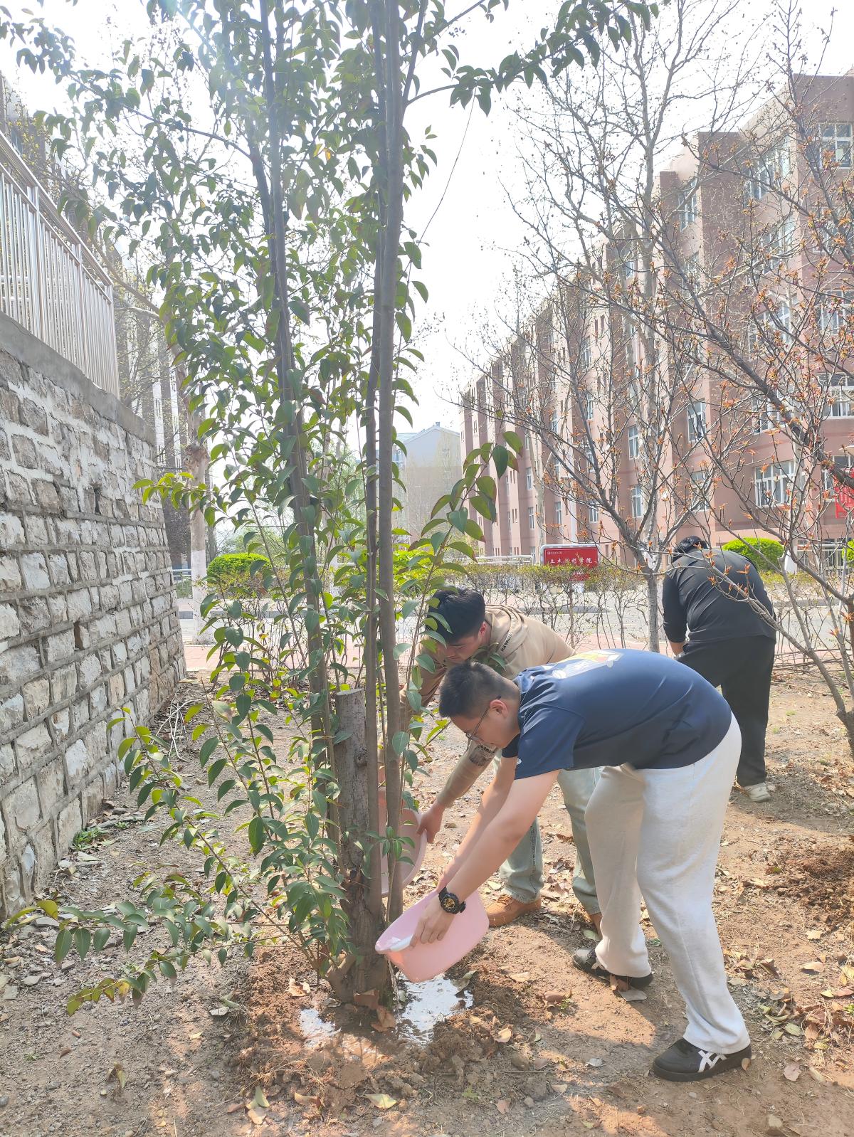 1775187046120935.jpg 微信图片_20260402095335_6162_21(1).jpg