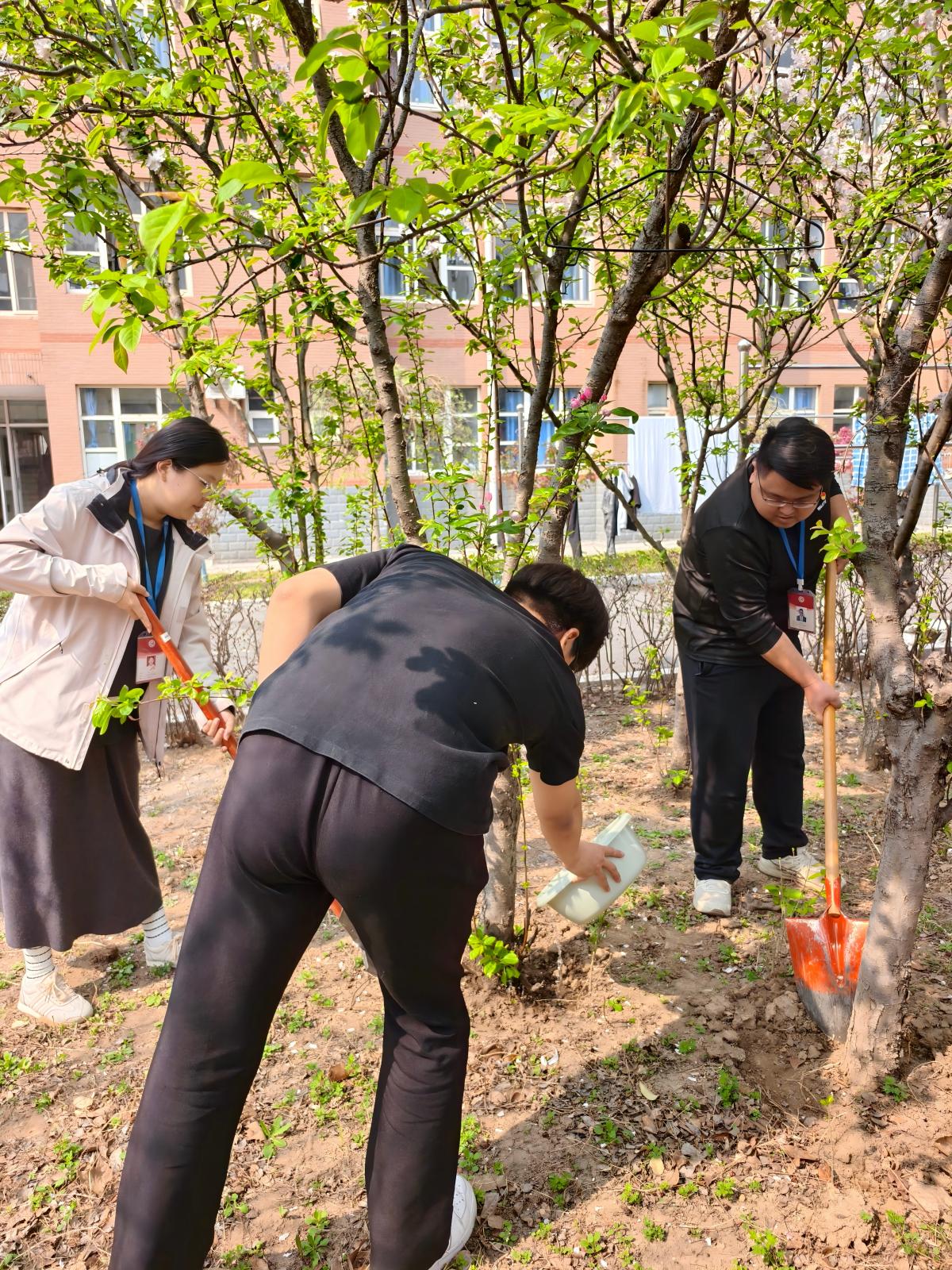 1775187066155368.jpg 5(1).jpg