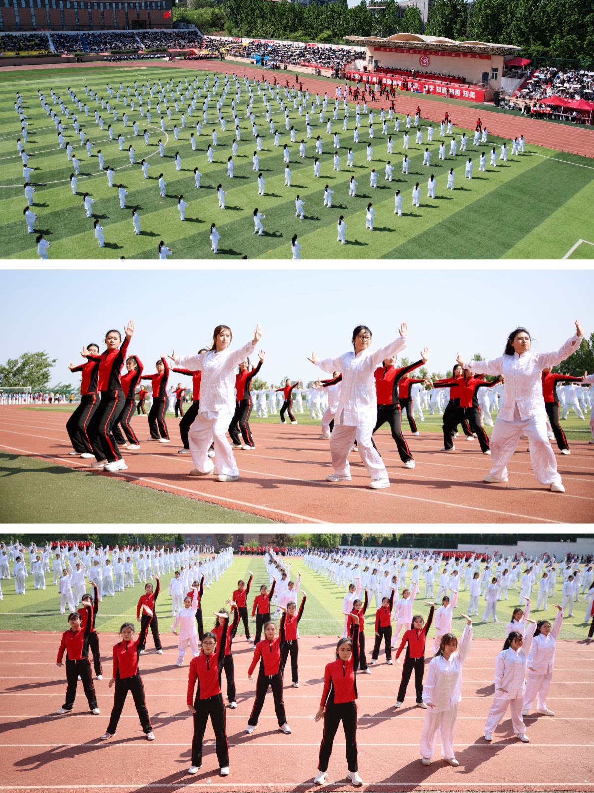 19.�˶ν� (2).jpg